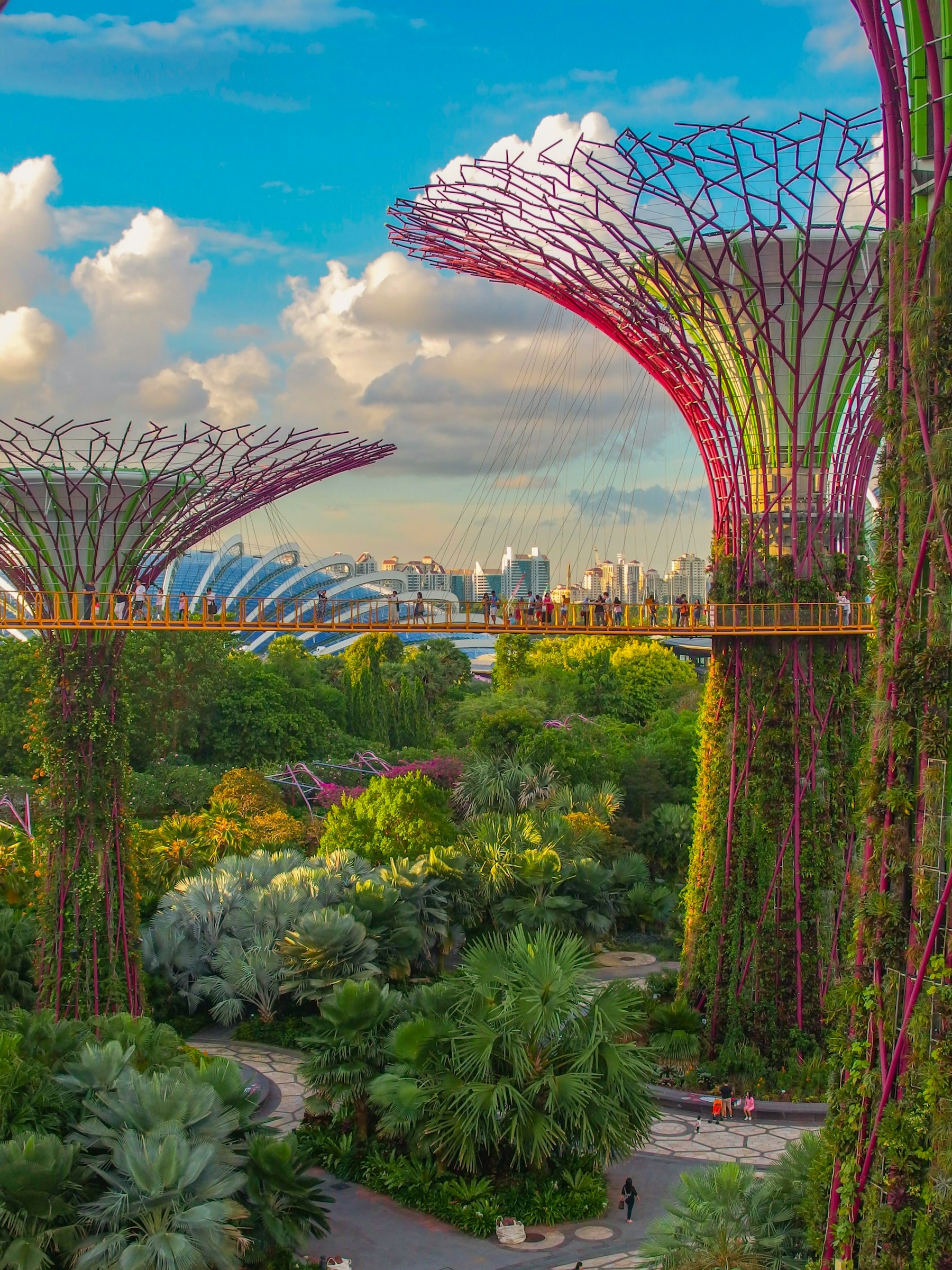 Supertree Grove, Gardens by the Bay, Singapore